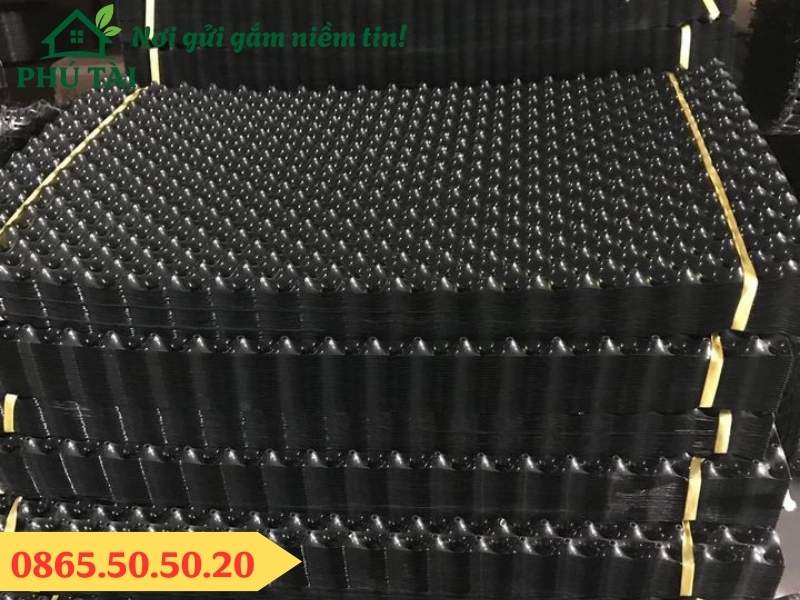 Cung cấp sỉ lẻ bầu ươm cây V6, V7
