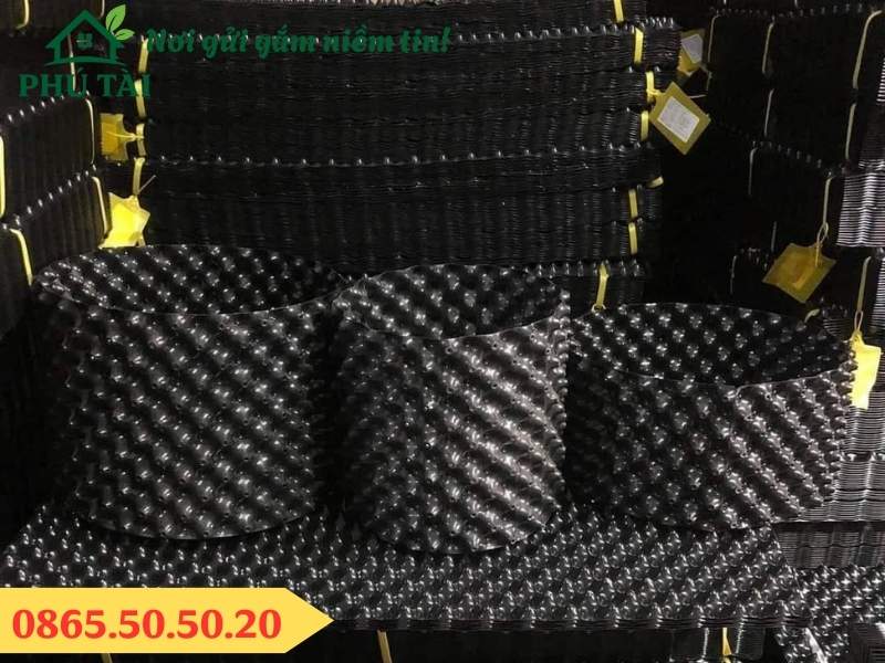 Kho hàng bầu ươm giá rẻ