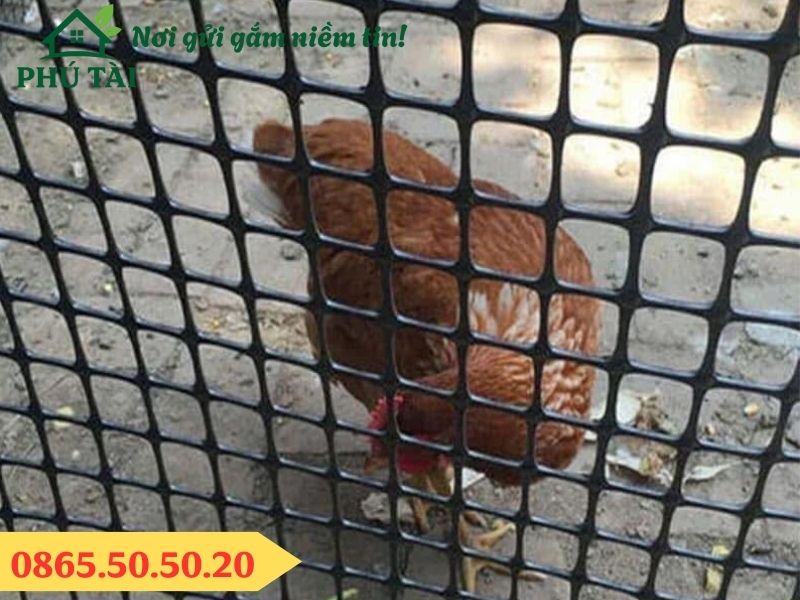 Lưới nhựa dẻo nguyên sinh