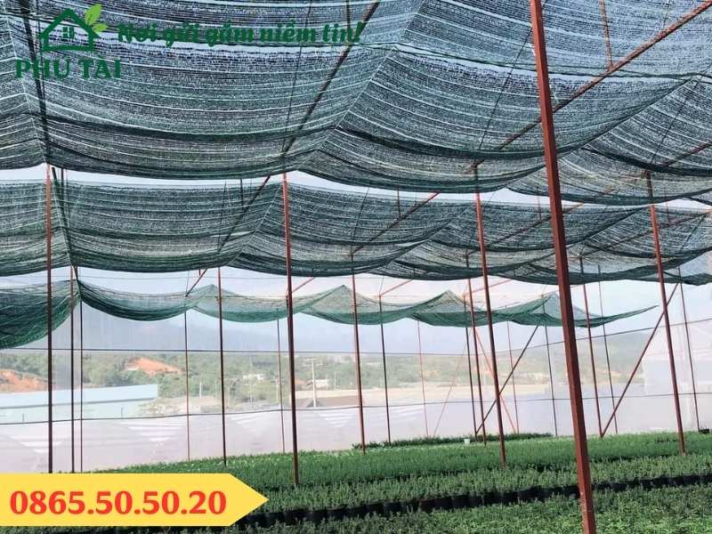 Sử dụng lưới che nắng 70% có các vườn ươm