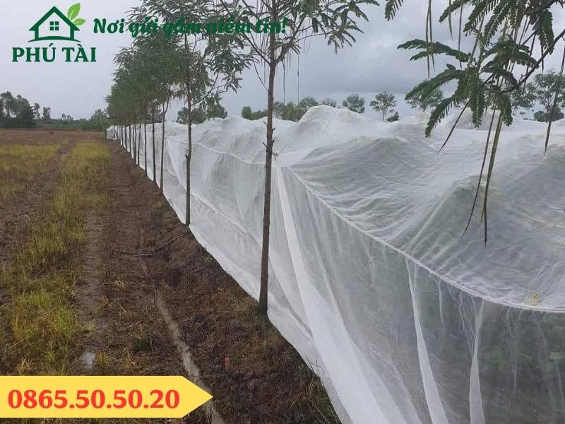Thi công lưới chắn côn trùng cho nhà nông
