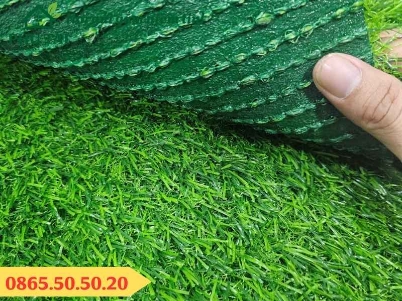 Cỏ nhân tạo 2.5 cm đế xanh có lỗ thoát nước