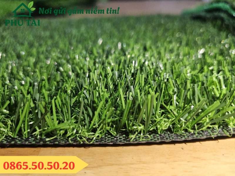 Cỏ nhân tạo 2cm 3 lớp đế 2mx25m