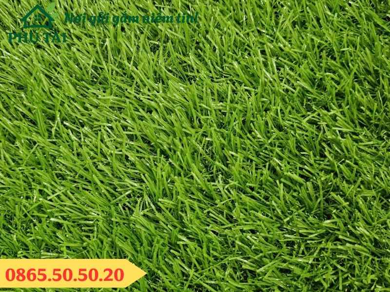 Cỏ nhân tạo 3cm sợi dày, chắc chắn, thoát nước tốt