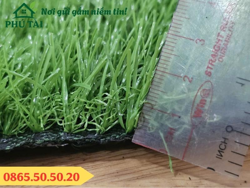 Cỏ nhân tạo chiều cao cỏ 3cm giá rẻ tại Phú Tài