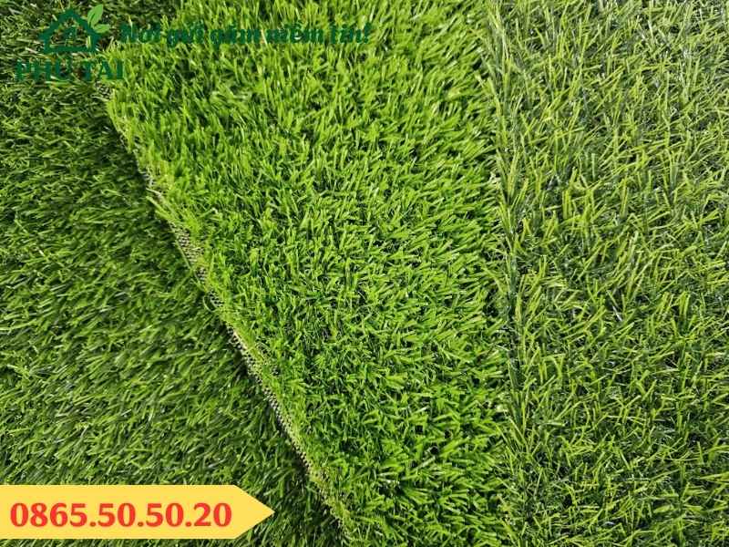 Cung cấp các loại cỏ nhân tạo cao 2cm