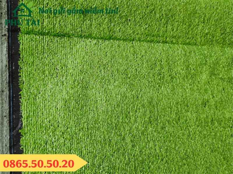 Cung cấp cỏ trải quán cà phê
