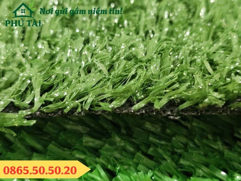 Thảm cỏ nhân tạo 1cm loại tốt